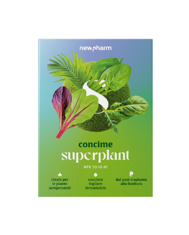 Concime idrosolubile Superplant 1 Kg Newpharm Concime idrosolubile Superplant 1 Kg Newpharm