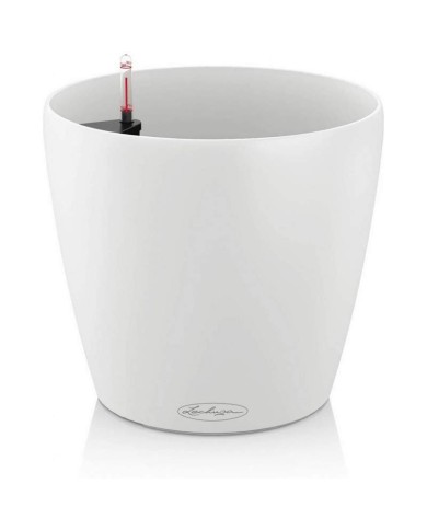 Vaso Classico Lechuza 21 Vaso Classico Lechuza 21