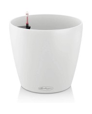 Vaso Classico Lechuza 21 Vaso Classico Lechuza 21