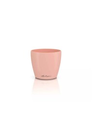 Vaso Decorativo Lechuza 11