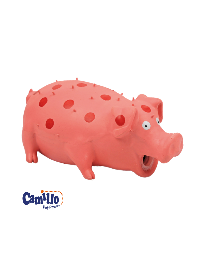 Maiale a pois in lattice Camillo