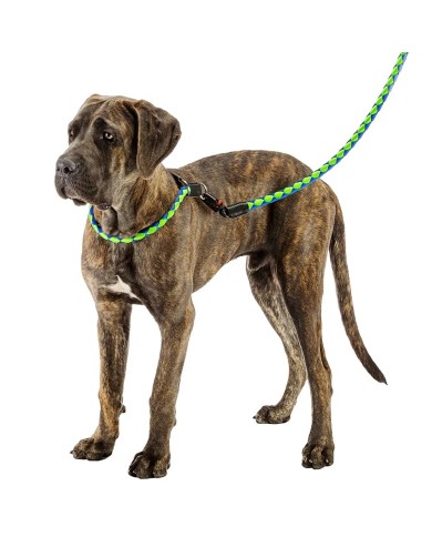 Collare per Cani Twist Matic Blu