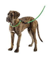 Collare per Cani Twist Matic Blu