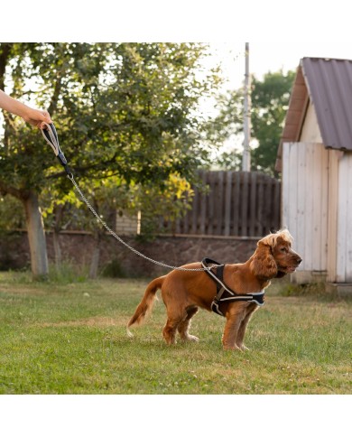 Guinzaglio Ergocomfort Metal GM 105 Ferplast