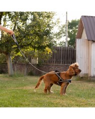 Guinzaglio Ergocomfort Metal GM 105 Ferplast