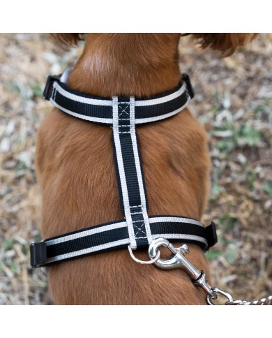 Guinzaglio Ergocomfort Metal GM 105 Ferplast