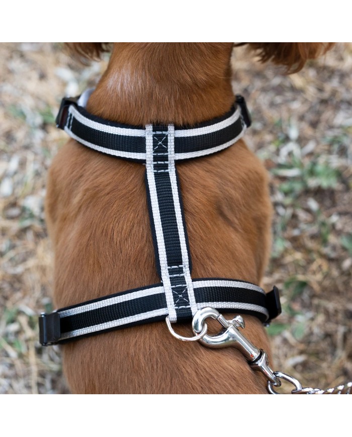 Guinzaglio Ergocomfort Metal GM 105 Ferplast