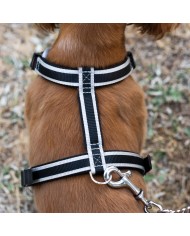 Guinzaglio Ergocomfort Metal GM 105 Ferplast