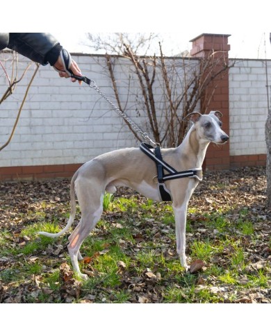 Guinzaglio Ergocomfort Metal GM 65 Ferplast