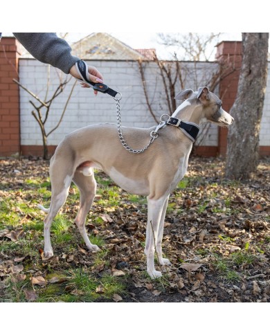 Guinzaglio Ergocomfort Metal GM 65 Ferplast