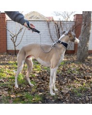 Guinzaglio Ergocomfort Metal GM 65 Ferplast