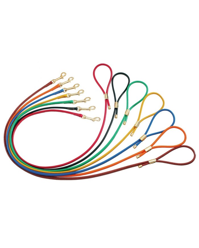 Guinzaglio Vitello per cani Camon