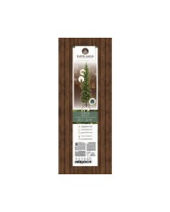 Albero di natale Slim fir LED kaemingk