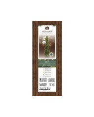 Albero di natale Everlands Slim 210cm