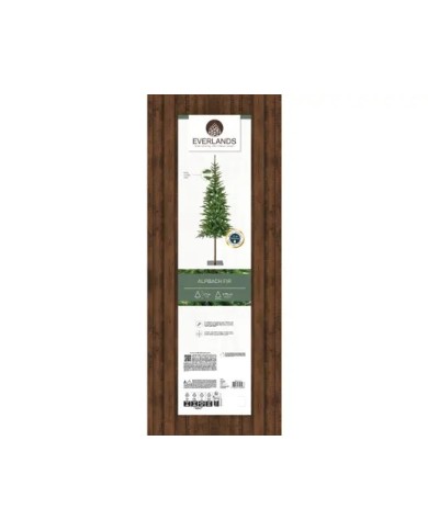 Albero di natale Alpbach fir 210 cm kaemingk