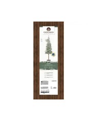 Albero di natale Alpbach fir snowy 210cm Kaemingk