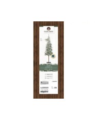 Albero di natale Alpbach fir snowy 210cm Kaemingk