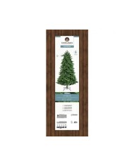 Albero di natale Ottowa fir 210cm Kaemingk