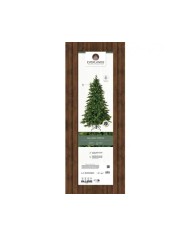 Albero di natale Galloway spruce 210cm Kaemingk