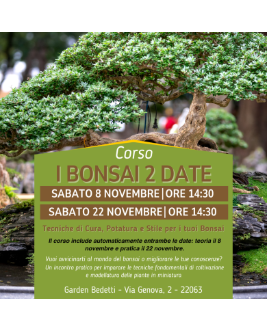 Corso giardinaggio: I Bonsai, Tecniche di Cura, Potatura e Stile - 18 Ottobre 2025 - Ore 15:00