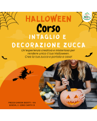 Halloween Intaglio Zucca - Corso Sabato 24 Ottobre 2026 - Ore 15:00