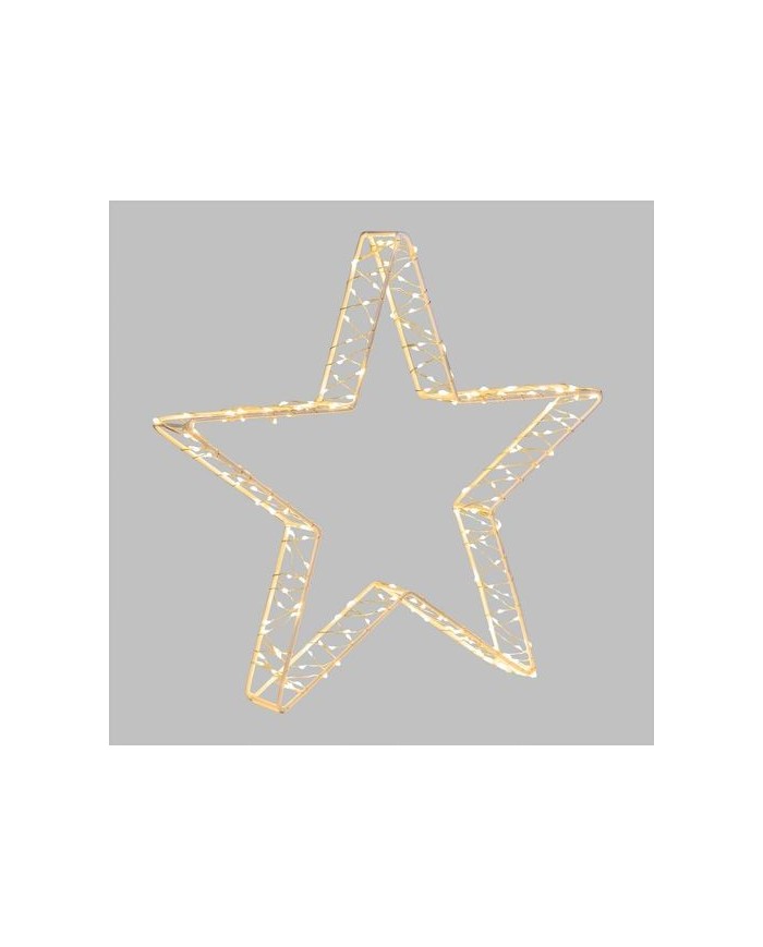 Stella Luminosa 220 MicroLED D. 30cm Bianco Caldo Lotti