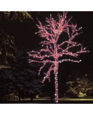 Luce di Natale 200 MaxiLED Rosso e Bianco Lotti