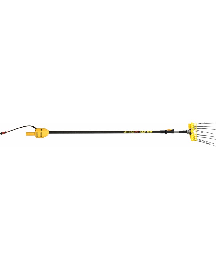 Pettine elettrico per olivi Swing Professional 12v Lisam