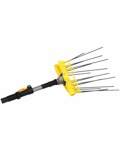 Pettine elettrico per olivi Swing Professional 12v Lisam