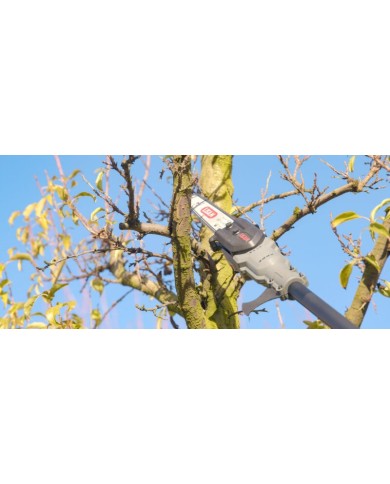 Seghetto elettrico su asta skytronic plus Lisam