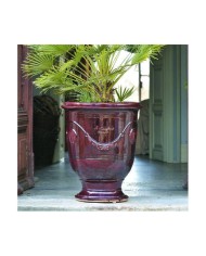 Vaso Moderno Jarre 40x71 Bordeaux Paolelli