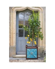 Vaso Moderno Bac a' Oranger Pm Blue Paolelli