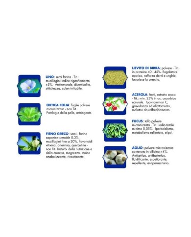 Cibo umido per cani Vet Line adulti bufalo 400 g