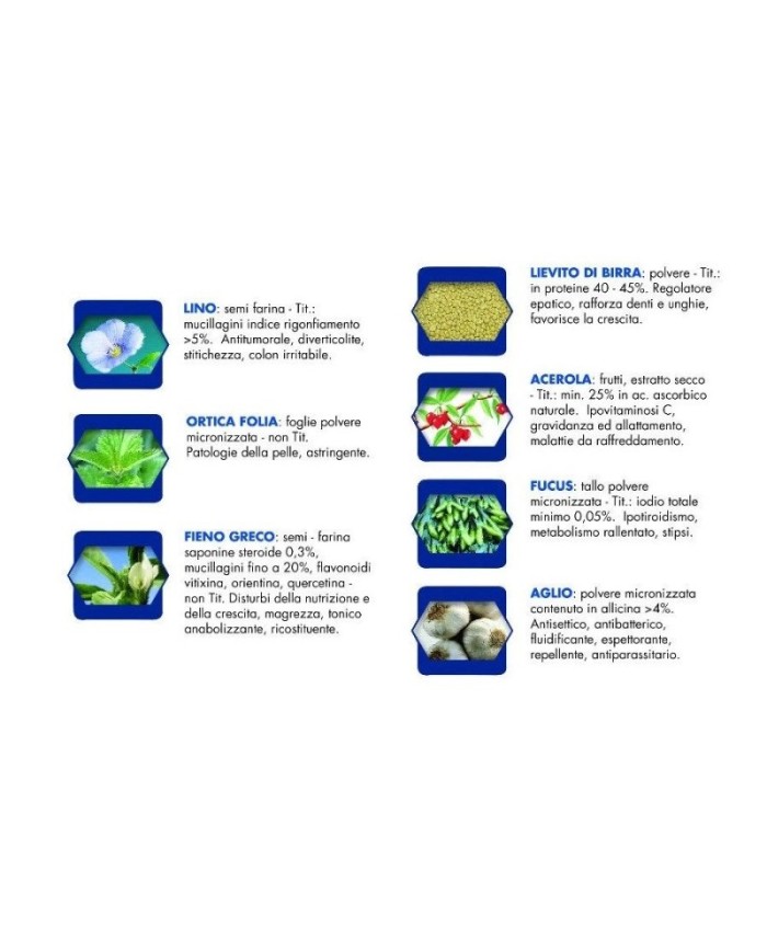 Cibo umido per cani Vet Line adulti bufalo 400 g