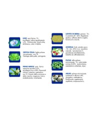 Cibo umido per cani Vet Line adulti bufalo 400 g