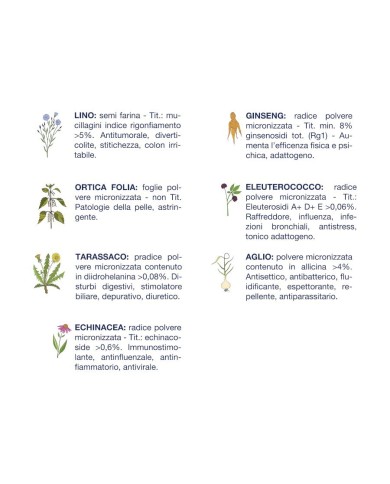 Crocchette per cani Vet Line adulti cervo 12,5 kg