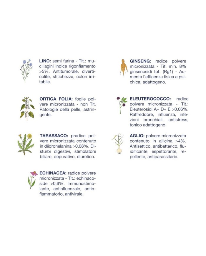 Crocchette per cani Vet Line adulti cervo 12,5 kg