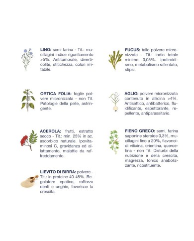 Cibo umido per cani Vet Line crescita tonno e patate 400 g