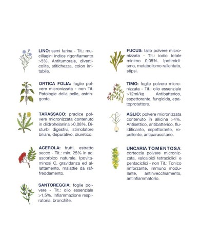 Cibo umido per cani Vet Line salute pesce e patate 400 g