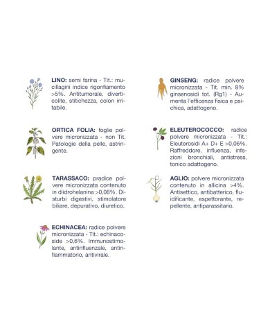 Crocchette per cani Vet Line adulti maiale 3 kg