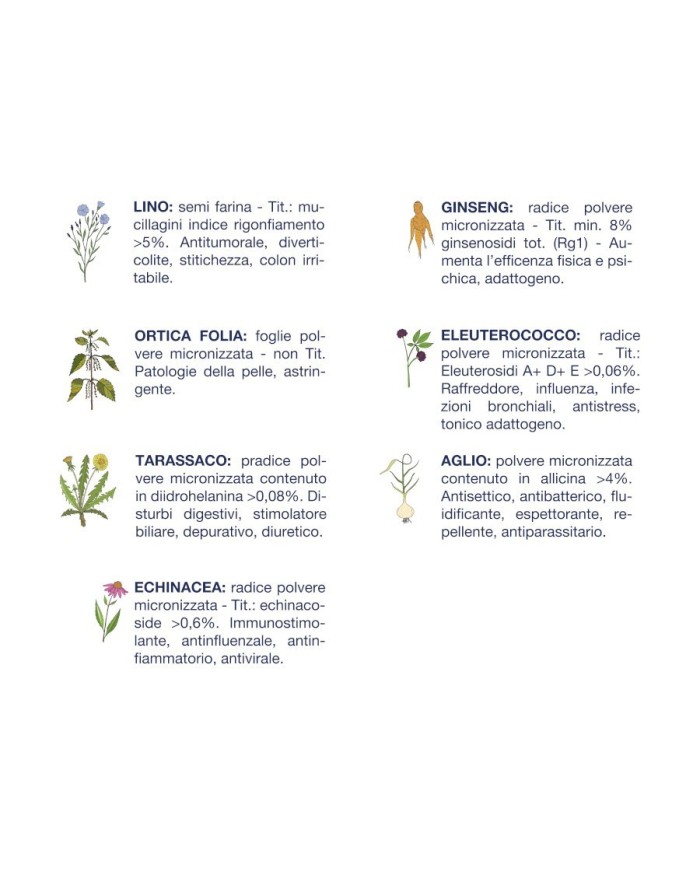 Crocchette per cani Vet Line adulti maiale 3 kg