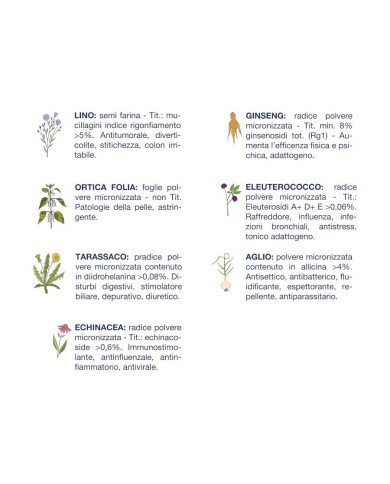 Crocchette per cani Vet Line adulti pesce 3 kg