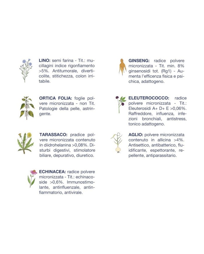 Crocchette per cani Vet Line adulti pesce 3 kg