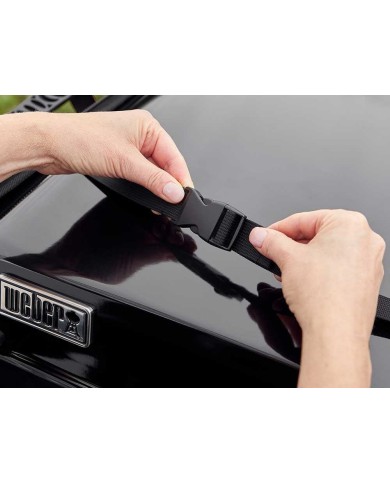 Custdia di trasporto premium per barbecue piastra 43/56 cm weber