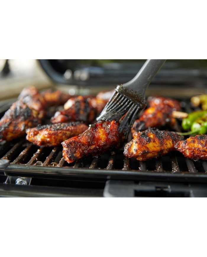 Barbecue a gas Weber Traveler Compact