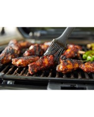 Barbecue a gas Weber Traveler Compact