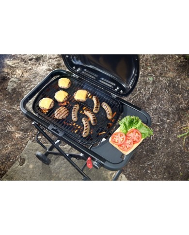 Barbecue a gas Weber Traveler Compact