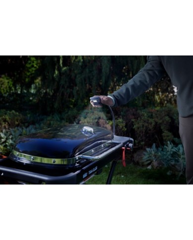 Barbecue a gas Weber Traveler