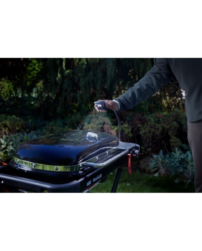 Barbecue a gas Weber Traveler