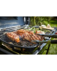 Barbecue a gas Weber Traveler